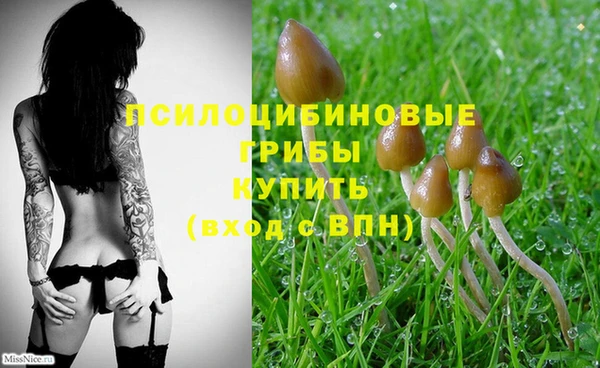 не бодяженный Балахна