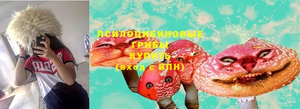 мдпв Балабаново