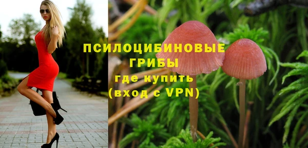 мдпв Балабаново