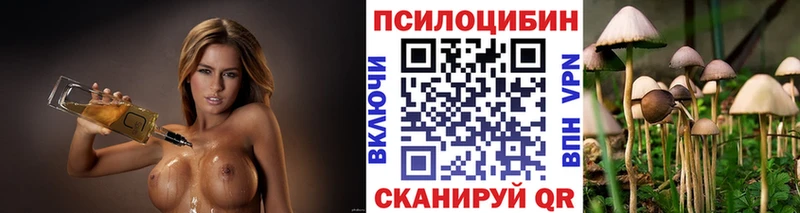 Псилоцибиновые грибы ЛСД  Купить закладки  Удомля 